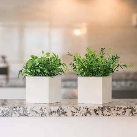 公寓 Guestready - Cedofeita Cradle 波尔图