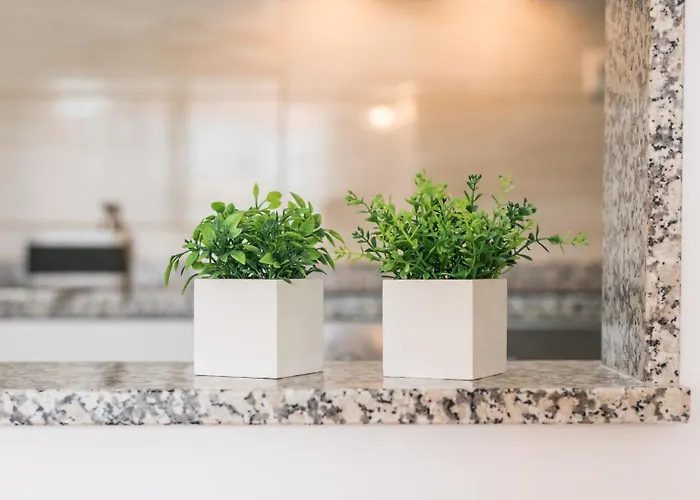 Apartment Guestready - Cedofeita Cradle Porto